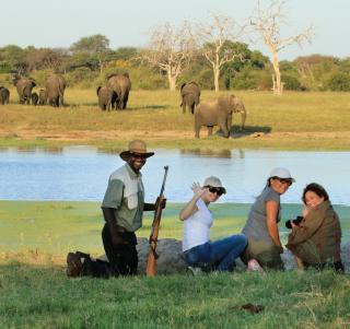 Victoria Falls og Hwange National Park