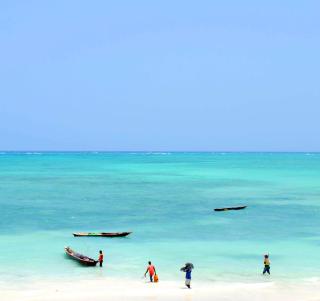 Fly-inn Gorilla Trekking og Zanzibar