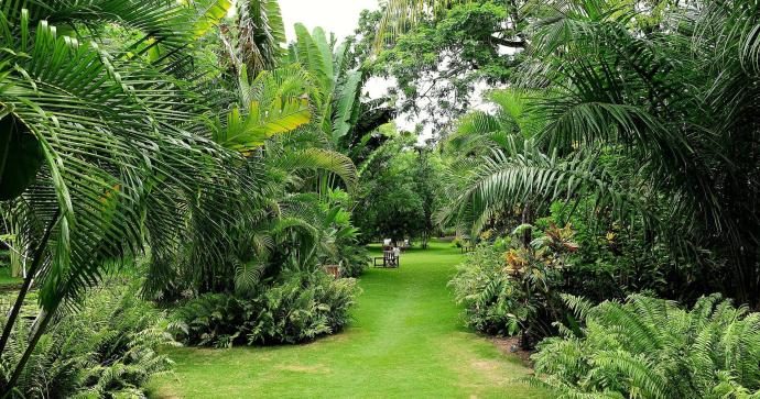 Anjajavy Le Lodge