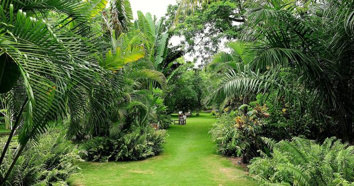 Anjajavy Le Lodge