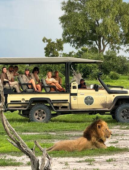 12 tips til at finde den bedste safari-rejsearrangør