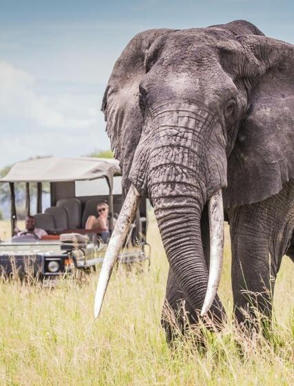 Komplet pakkeliste til din safarirejse