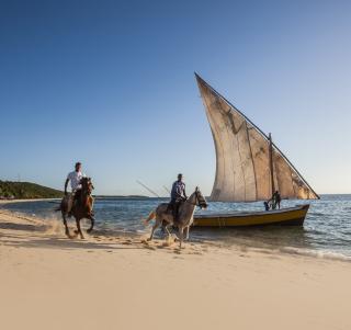 Safari og Mozambique