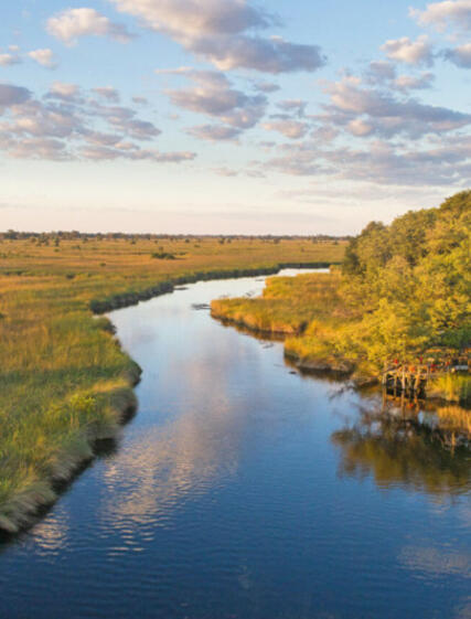 Okavango Delta – Botswanas vandrige tilbyder en unik safarioplevelse