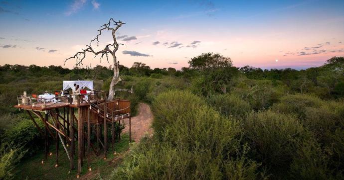 Lion Sands Treehouse