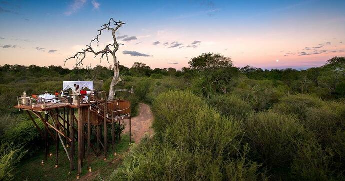 Lion Sands Treehouse