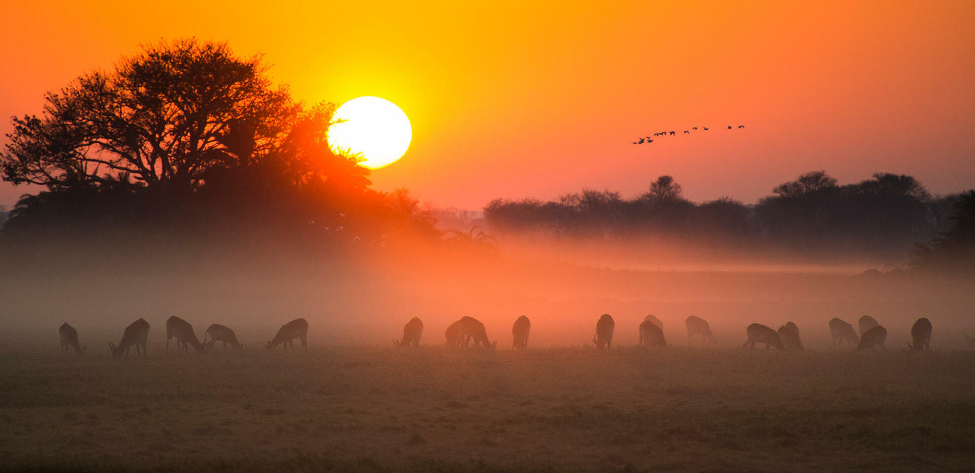 Den uberørte vildmark venter på dig!