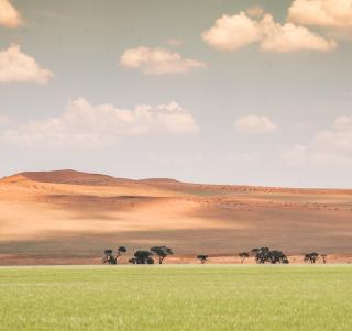 Cape Town og Namibia