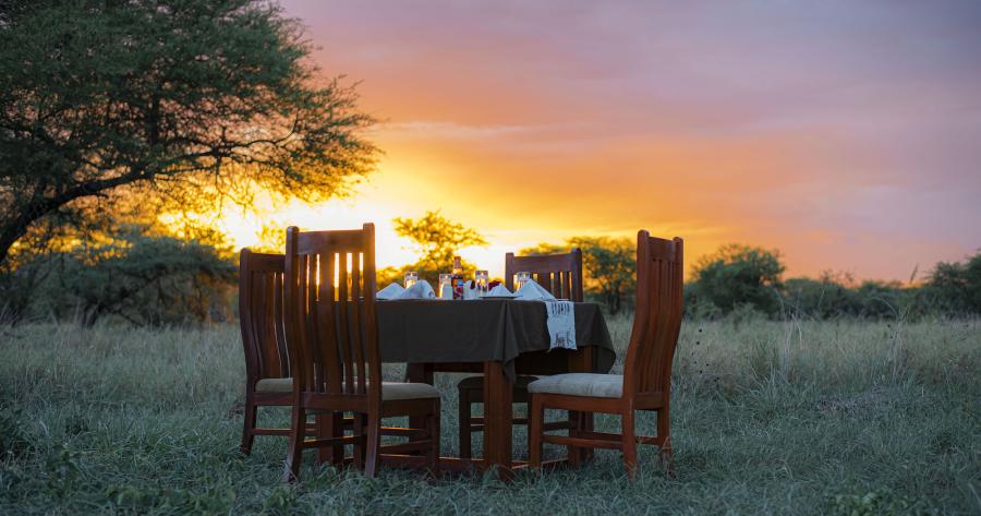 Osinon Serengeti