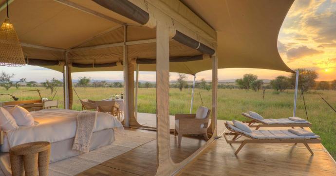 Roving Bushtops Camp