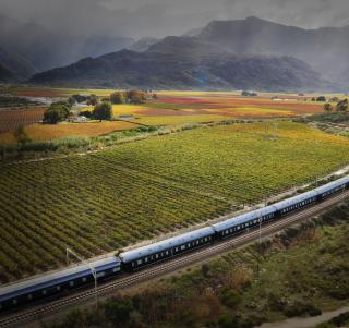 Rovos Rail - Southern Cross til Victoria Falls