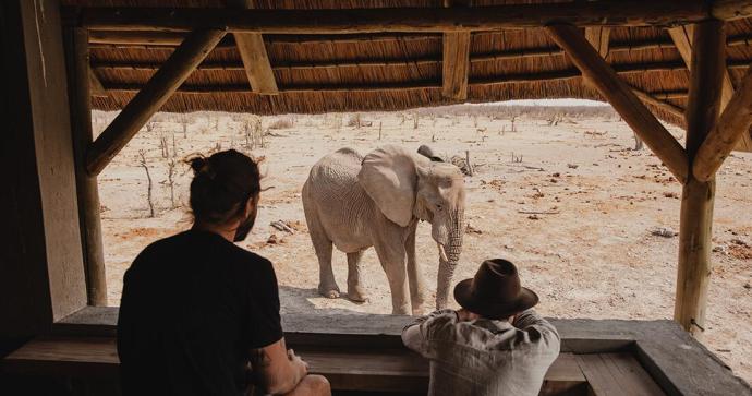 Safari House