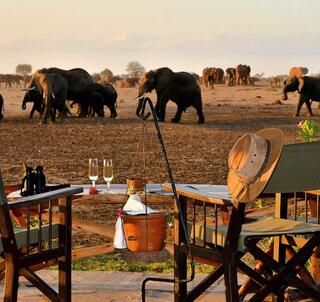 Familiesafari i smukke Kenya