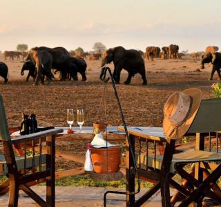 Familiesafari i smukke Kenya
