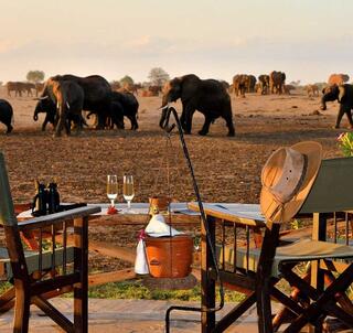 Familiesafari i smukke Kenya