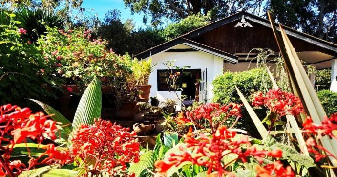 Simba Farm Lodge