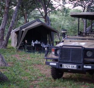 Campingsafari Botswana og Victoria Falls