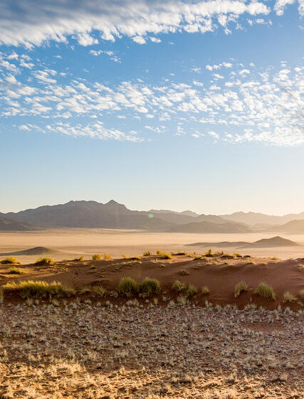 Kalahari-ørkenen – Rejs gennem Afrikas legendariske sandørken