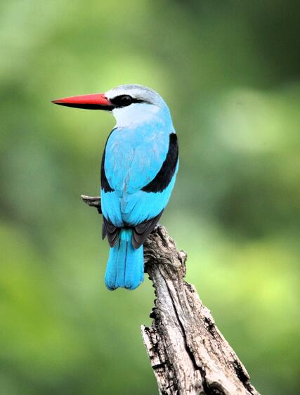 KwaZulu-Natal – opdag Sydafrikas bedst bevarede hemmelighed