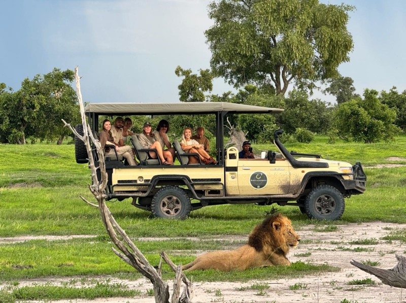 Den bedste rejsearrang&oslash;r til safari i Afrika