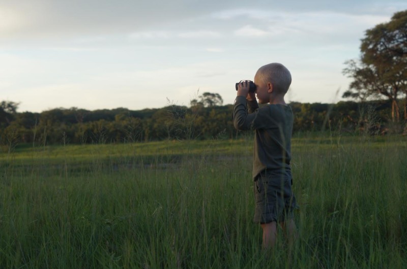 Engagér børnene med sjove safariaktiviteter