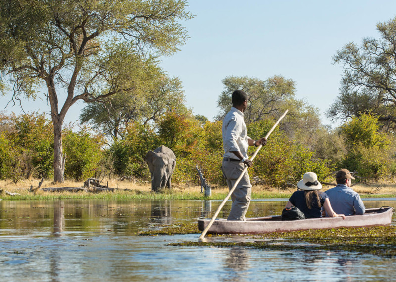 Botswana – eksklusive safarioplevelser