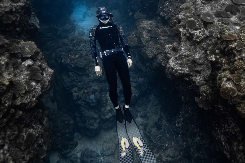 Snorkling og dykning i Kenyas magiske koralrev.