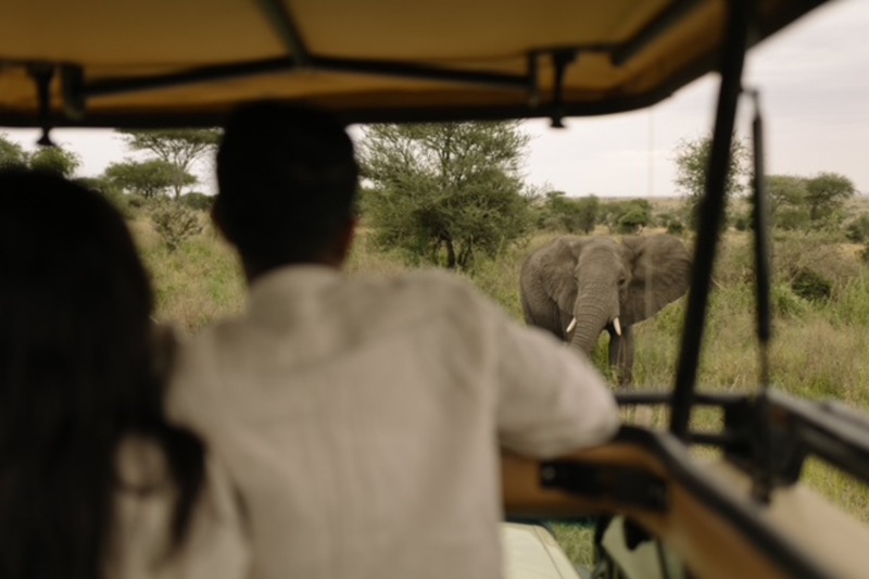 Afrikas største elefant