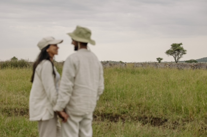 Forlovelse blandt zebraer på safari i Serengeti