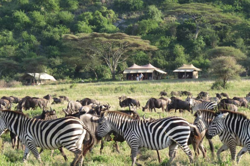 Undg&aring; transportetaper for at f&aring; mest muligt ud af din safarirejse