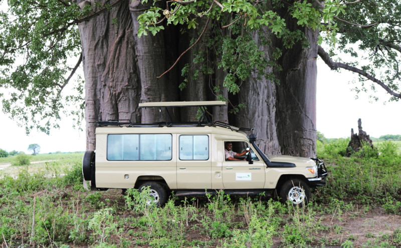 Bestil en privat safaribil