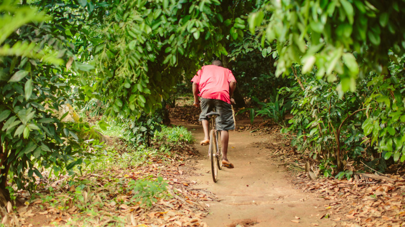 Udforsk Zanzibar uden for turiststrømmene – med cykel, bus eller tuktuk