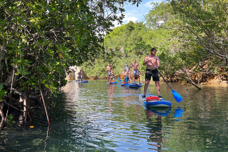 Mida Creek – Et unikt mangroveeventyr