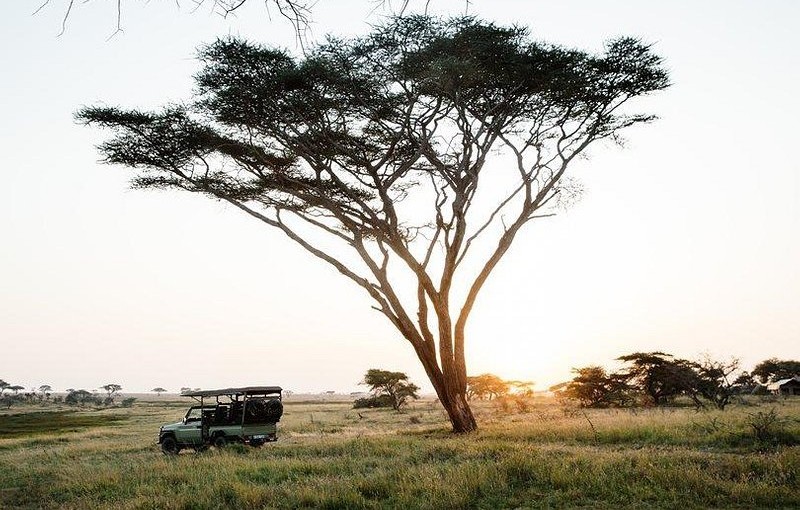 Serengeti er et sted, du skal opleve!