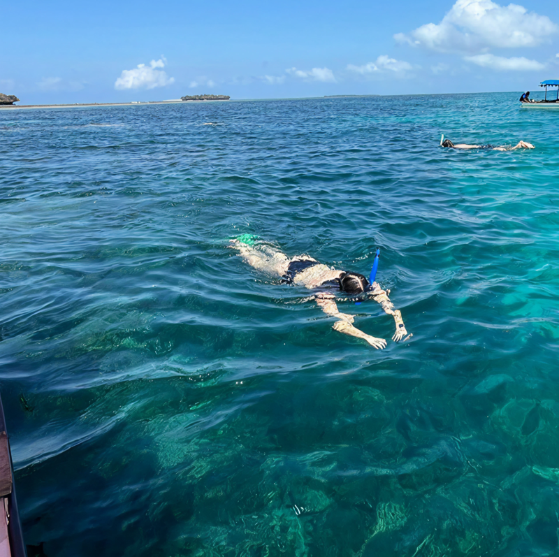 Snorkling og dykning p&aring; Zanzibar