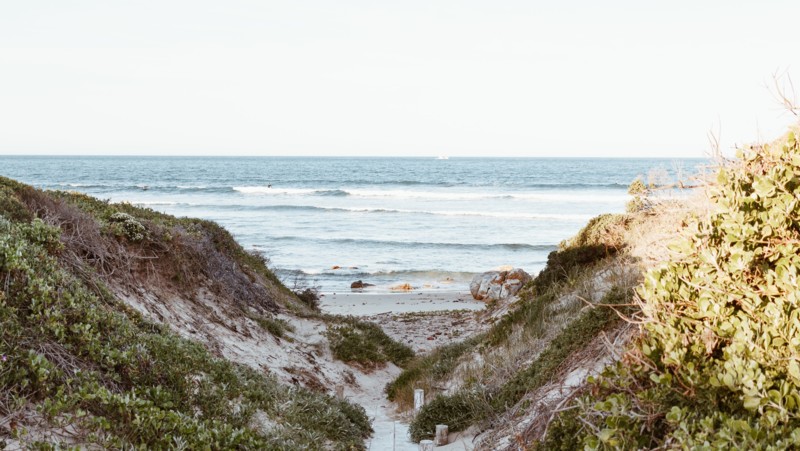 Hvalsafari - Oplev havets giganter ved Cape Towns kyst