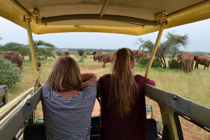 Den bedste rejsearrang&oslash;r til safari arbejder kun med safari
