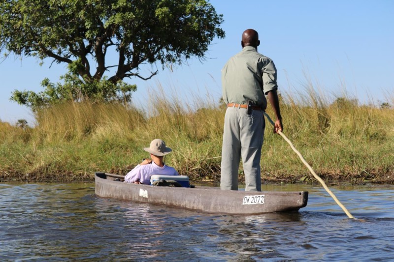 Chobe National Park & Moremi Game Reserve, Botswana