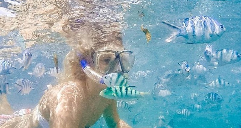 Undervandseventyr – Snorkling og dykning i verdensklasse
