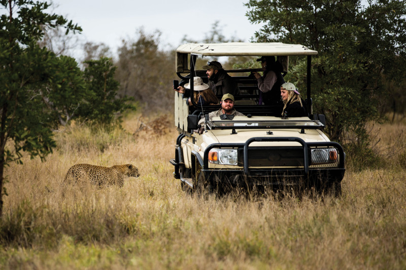 Sydafrika – safarier i verdensklasse, vin og store byer