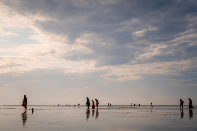 Revtur p&aring; Zanzibar ved lavvande